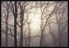 Im Nebel